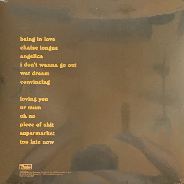 Wet Leg Wet Leg Domino LP, Album Mint (M) Mint (M) Get Cheap Vinyl