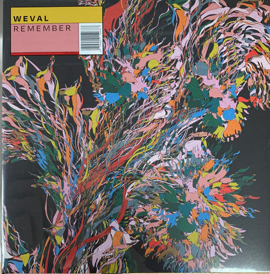 Remember | Mint (M) Mint (M) Get Cheap Vinyl