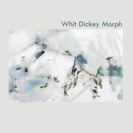 Morph | Get Cheap Vinyl