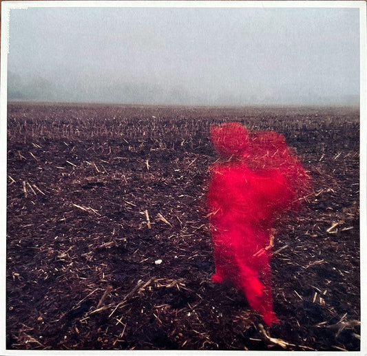 The Hole Around My Head | Mint (M) Mint (M) Get Cheap Vinyl