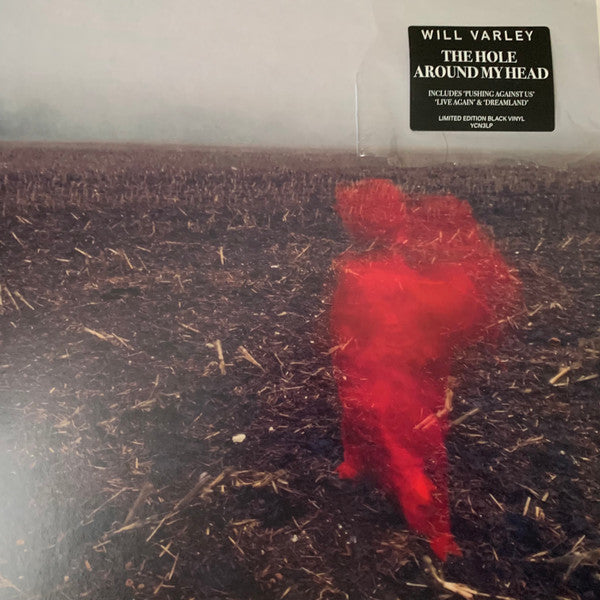 The Hole Around My Head | Mint (M) Mint (M) Get Cheap Vinyl