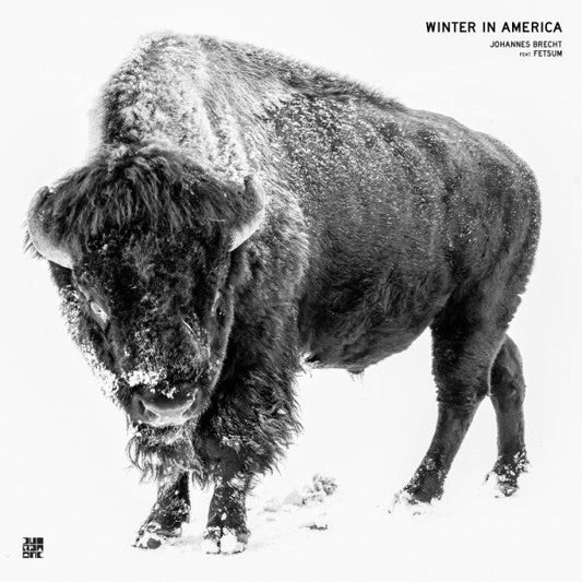 Winter In America | Mint (M) Mint (M) Get Cheap Vinyl