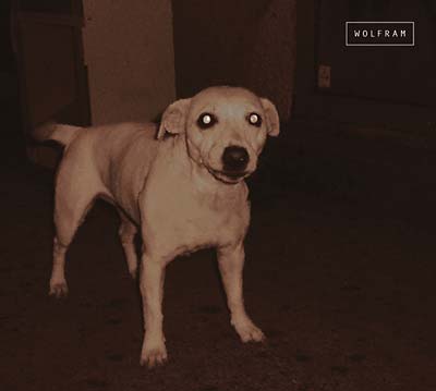 Wolfram | Get Cheap Vinyl