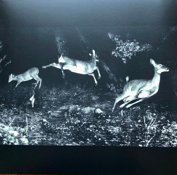The Trees Were Buzzing, And The Grass. | Mint (M) Mint (M) Get Cheap Vinyl