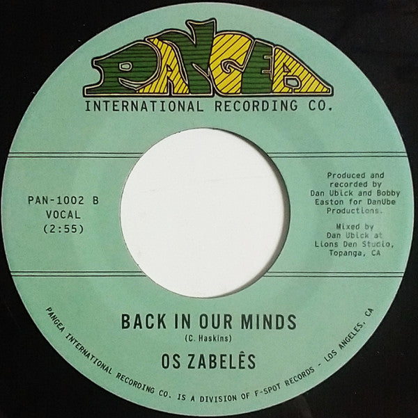 If You Don't Like The Effects, Don't Produce The Cause / Back In Our Minds | Mint (M) Generic Get Cheap Vinyl
