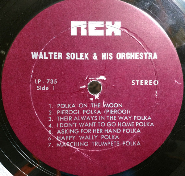 Walt Solek Sings | Very Good Plus (VG+) Near Mint (NM) Get Cheap Vinyl
