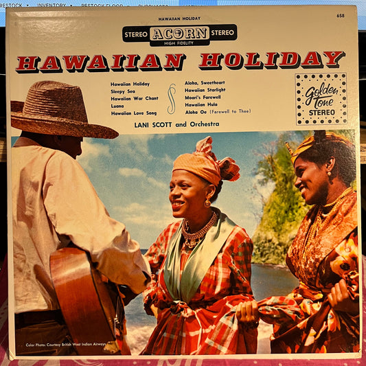 Hawaiian Holiday | Excellent (EX) Near Mint (NM) Get Cheap Vinyl