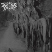 Xasthur (2LP) | Mint (M) Mint (M) Get Cheap Vinyl