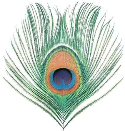 Apple Venus Vol. 1 (200g Vinyl Import) | Mint (M) Mint (M) Get Cheap Vinyl