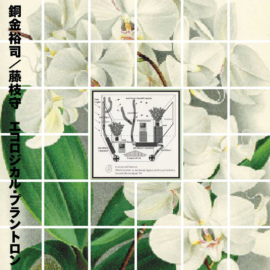 Ecological Plantron | Get Cheap Vinyl