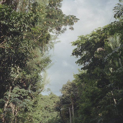 New Once | Mint (M) Mint (M) Get Cheap Vinyl