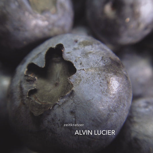 Alvin Lucier | Get Cheap Vinyl