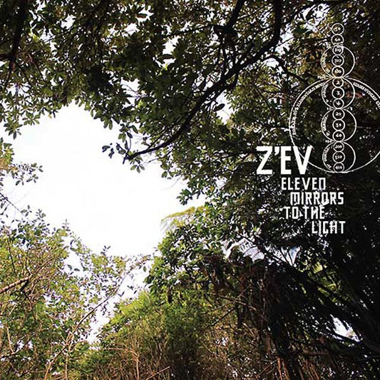 Eleven Mirrors to the Light | Get Cheap Vinyl