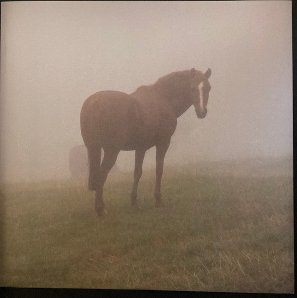 Magic Pony Ride | Mint (M) Mint (M) Get Cheap Vinyl